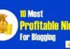 Most Profitable Niche For Blogging